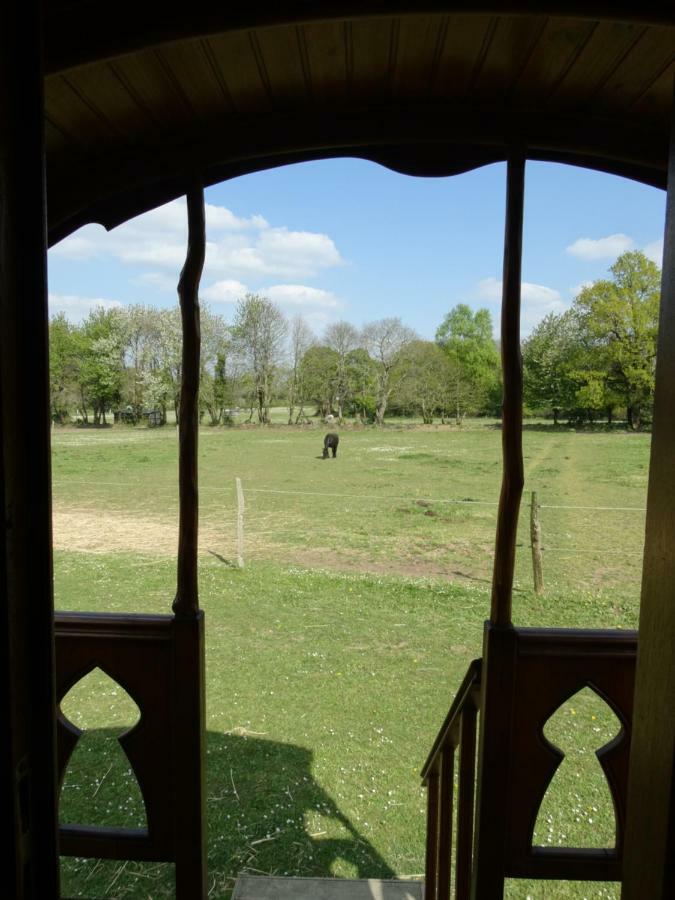 Domaine des Vallons Treffléan Extérieur photo
